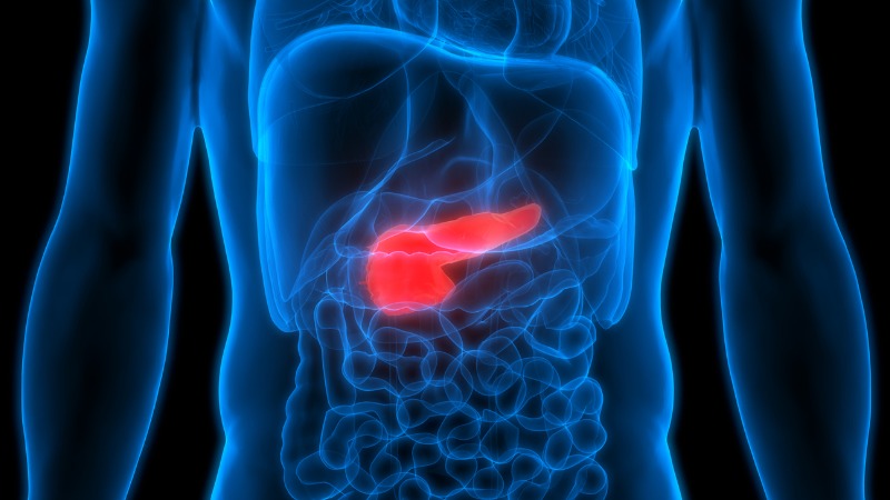 De pancreas bevindt zich tussen de maag en de wervelkolom